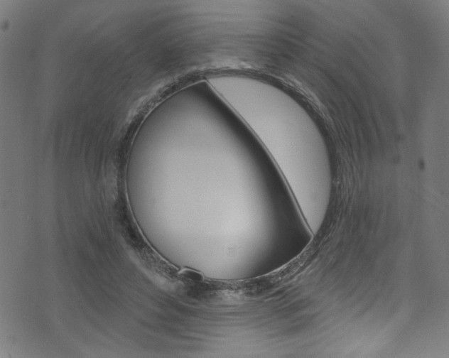 X0000074020496200608211112