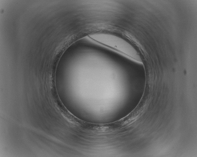 X0000074020497200608211112