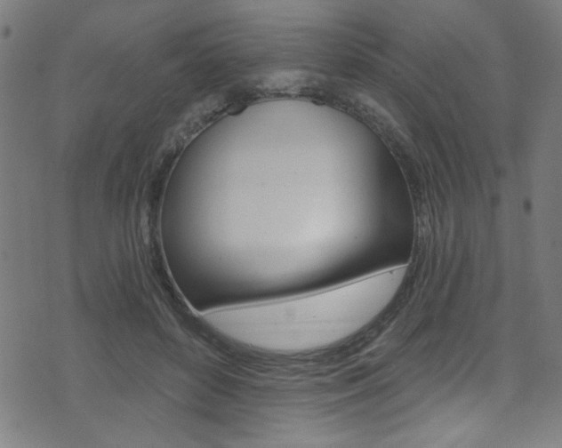 X0000074020504200608211112