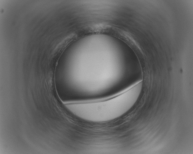 X0000074020505200608211112