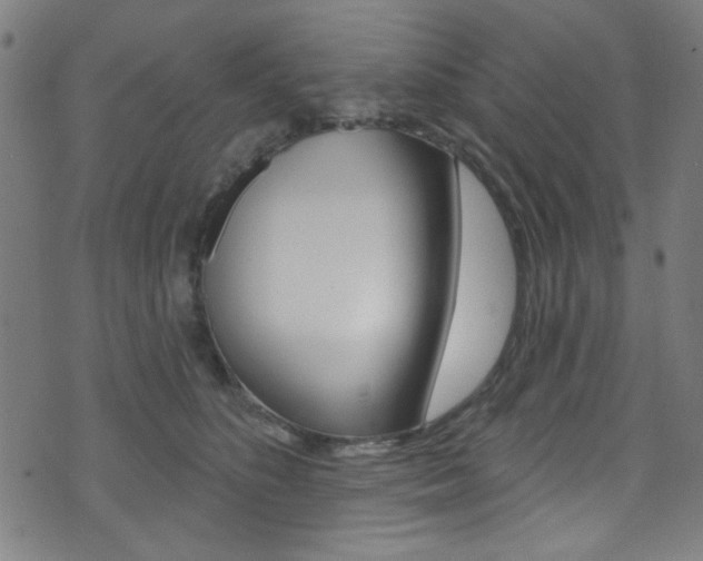 X0000074020516200608211112