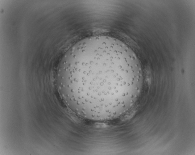 X0000074020519200608211112