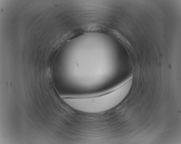 X0000074020521200608211112