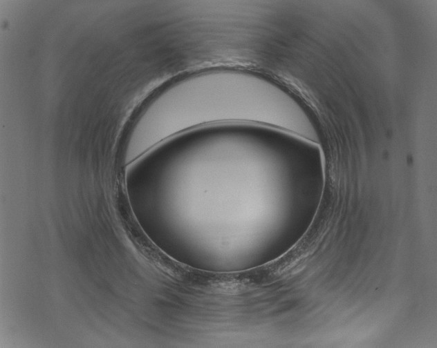 X0000074020540200608211111