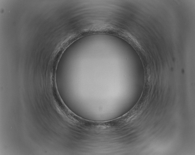 X0000074020542200608211111