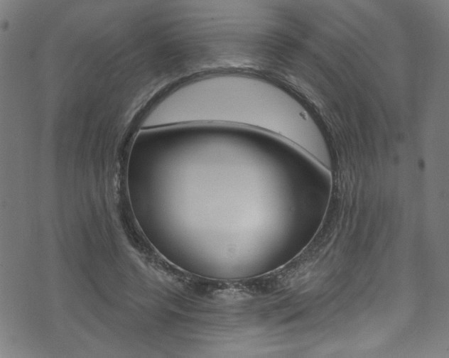 X0000074020544200608211111