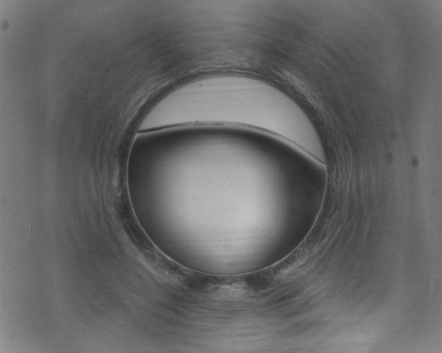 X0000074020548200608211111