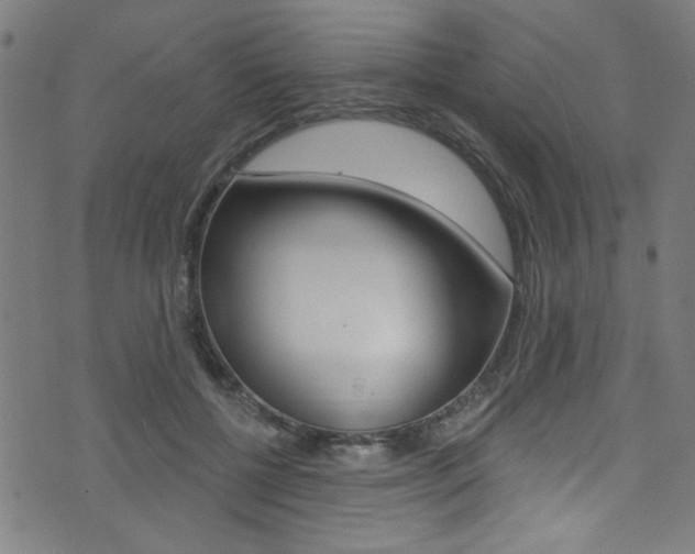 X0000074020552200608211111