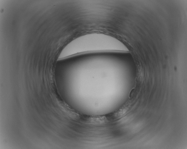 X0000074020571200608211112