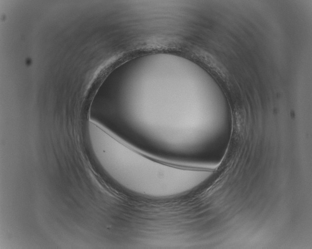 X0000074020588200608211111