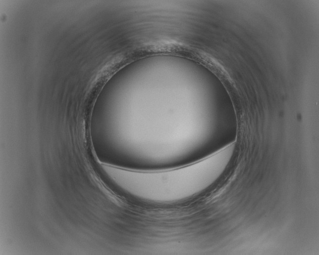 X0000074020589200608211111