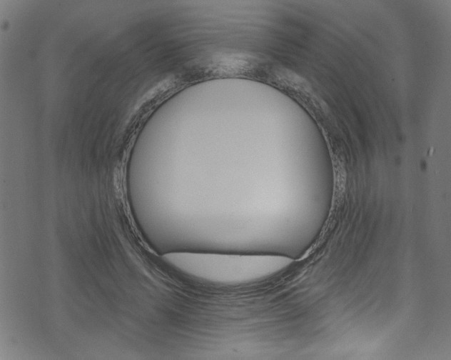 X0000074020591200608211111