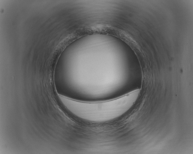 X0000074020593200608211111