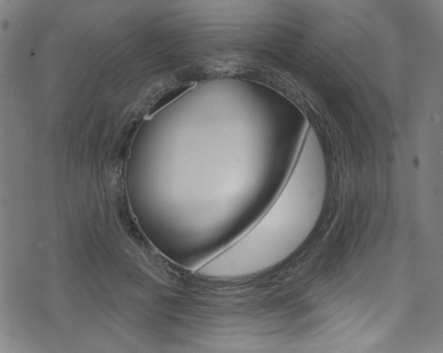 X0000074020601200608211110