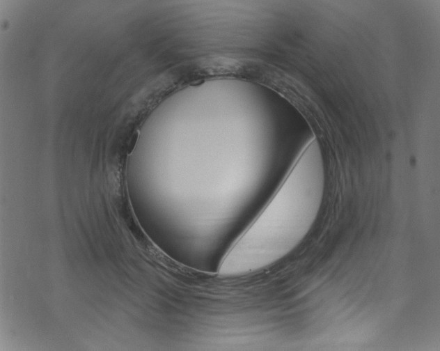 X0000074020604200608211110