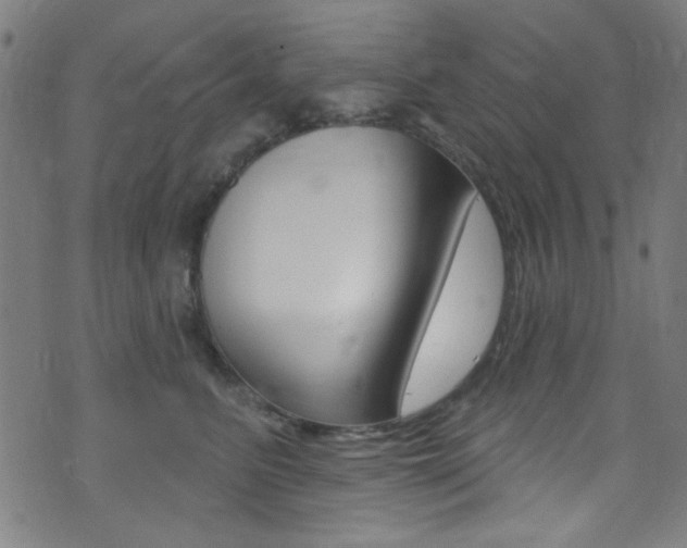 X0000074020615200608211110