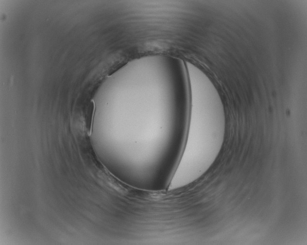 X0000074020617200608211110