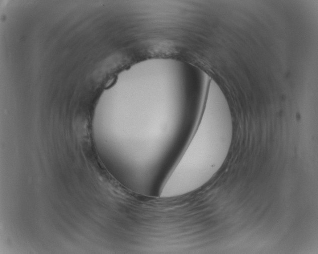 X0000074020619200608211110