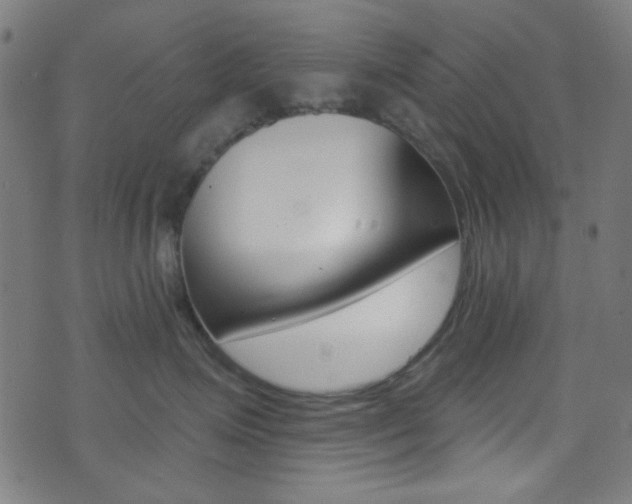 X0000074020623200608211110