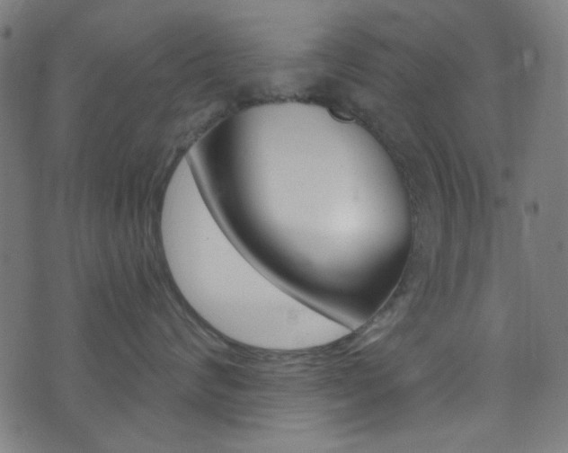 X0000074020624200608211110