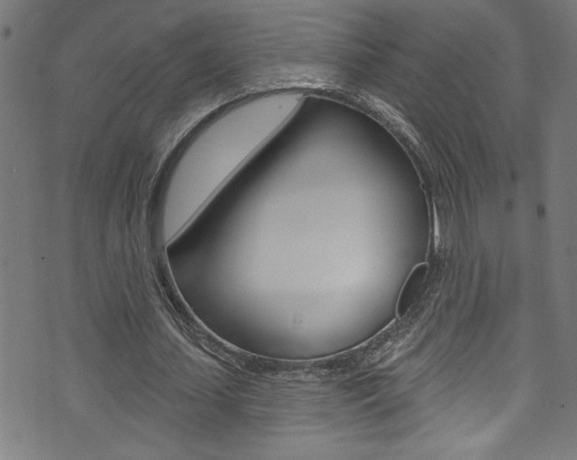 X0000074020627200608211109