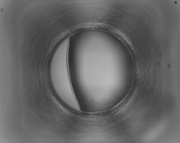 X0000074020633200608211109