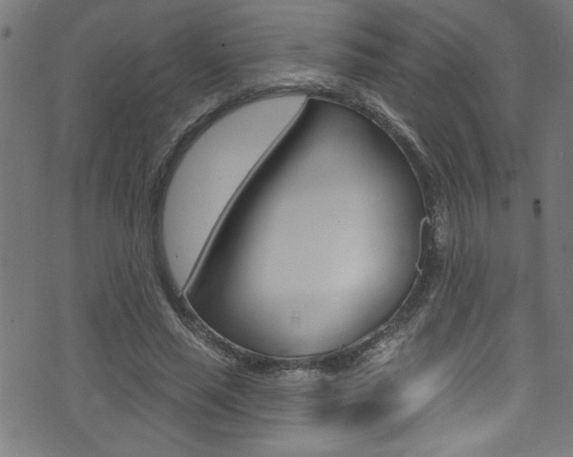 X0000074020637200608211109