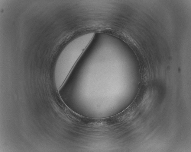 X0000074020639200608211109