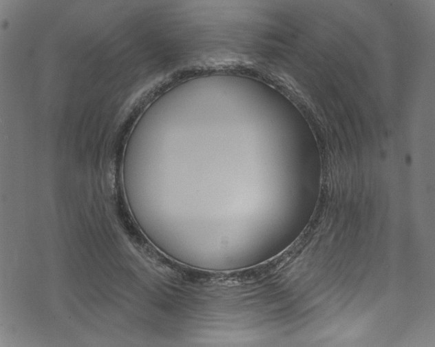 X0000074020640200608211110