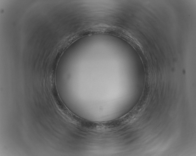 X0000074020641200608211110