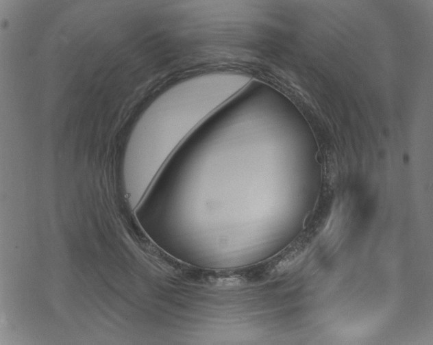 X0000074020645200608211110