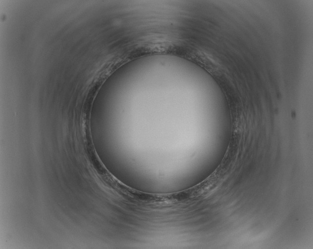 X0000074020646200608211110