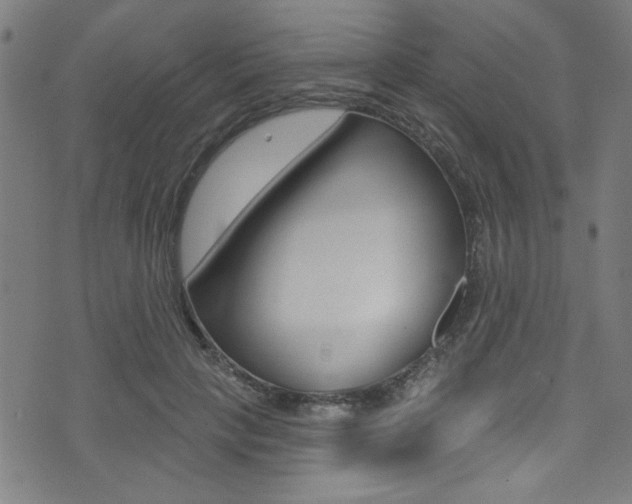 X0000074020649200608211110
