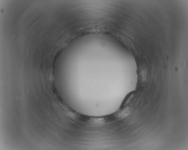 X0000074020665200608211110