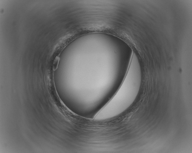 X0000074020688200608211109