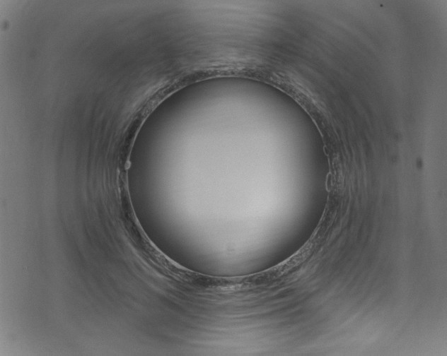 X0000074020692200608211109