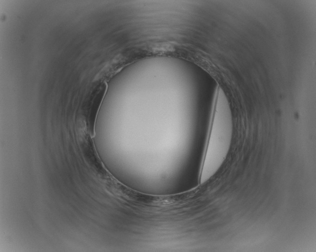 X0000074020704200608211109