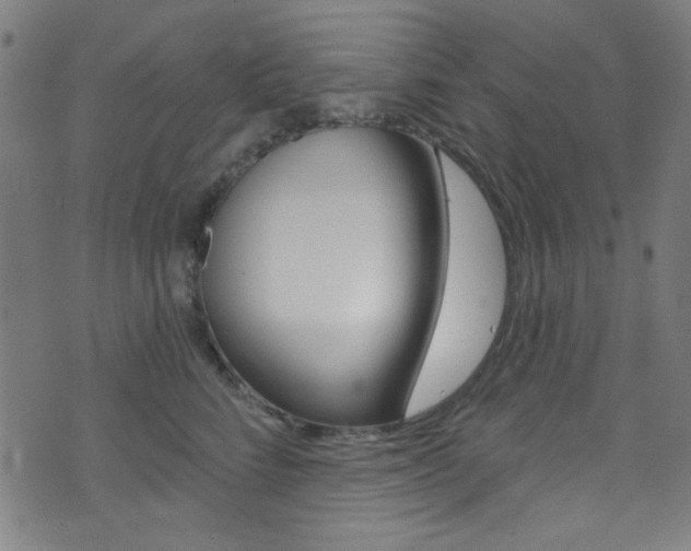 X0000074020712200608211109
