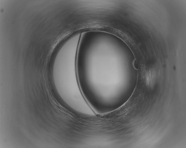 X0000074020731200608211108