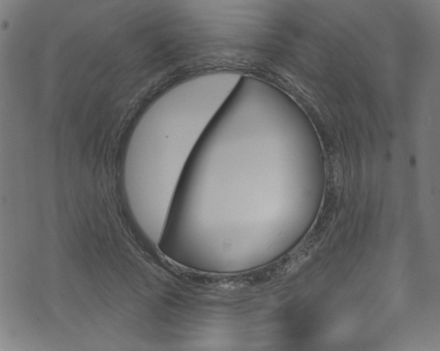 X0000074020737200608211108