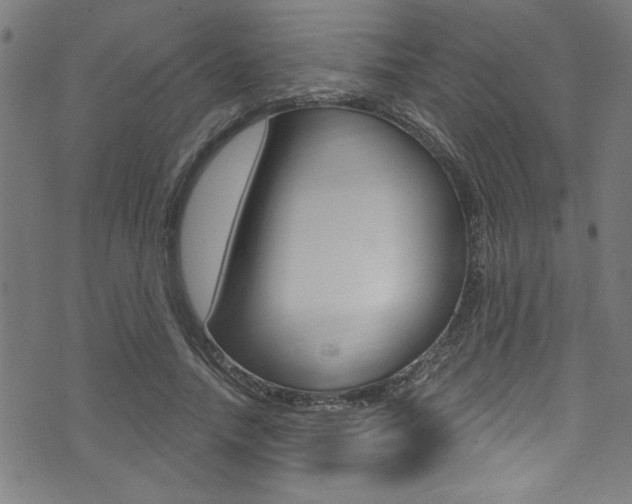 X0000074020738200608211108