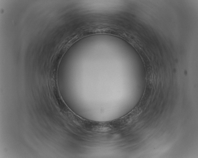 X0000074020743200608211108