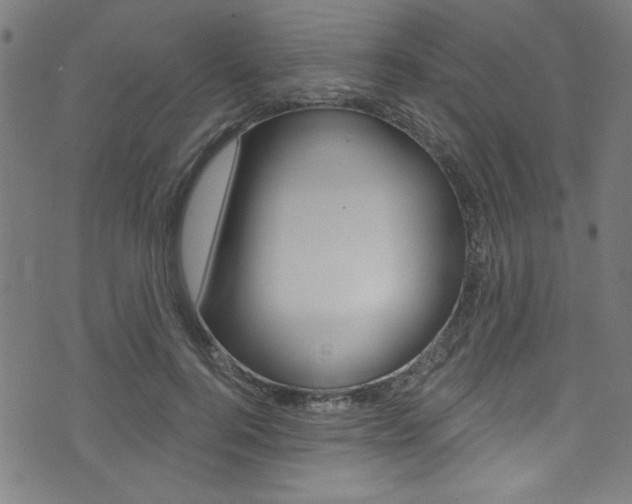 X0000074020744200608211108