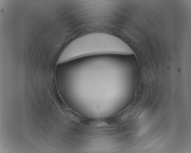 X0000074020747200608211108