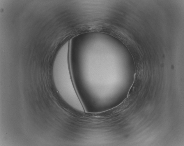 X0000074020748200608211108