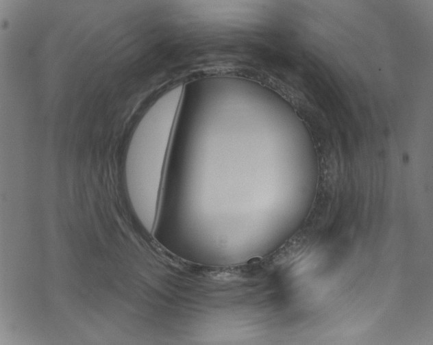 X0000074020755200608211108
