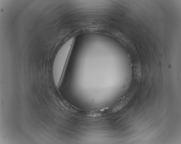 X0000074020760200608211108