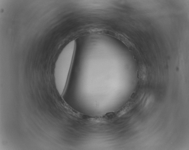 X0000074020763200608211108