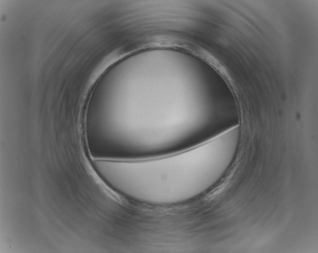 X0000074020803200608211107