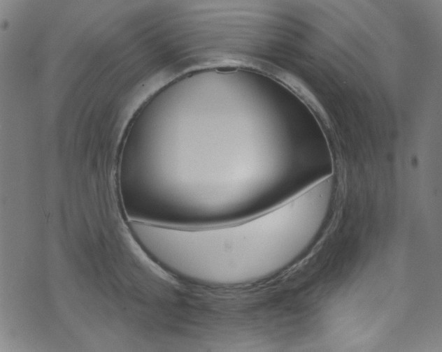 X0000074020805200608211107